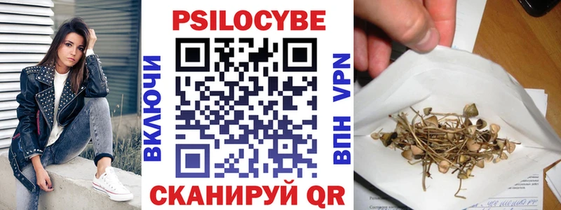 Купить где  Болохово  Псилоцибиновые грибы GOLDEN TEACHER 